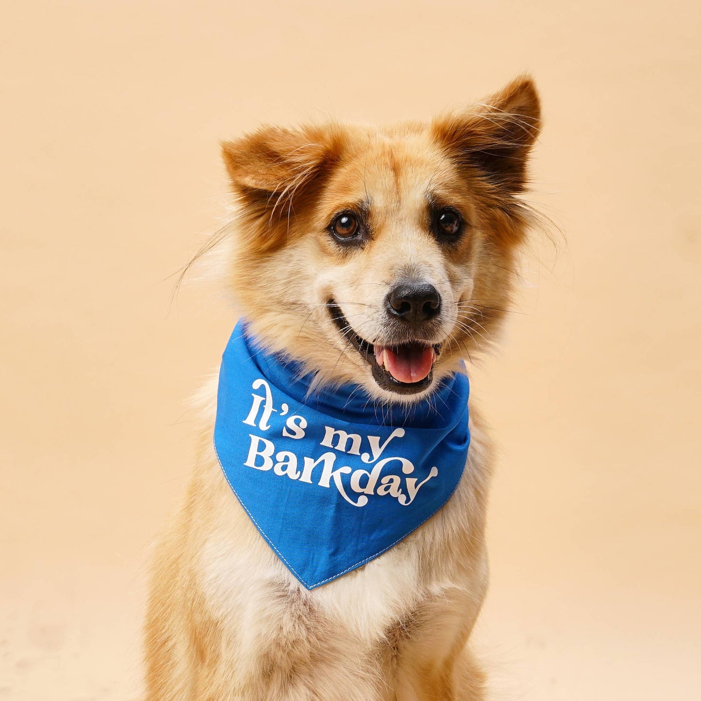Barkday Blue Birthday Dog Bandana