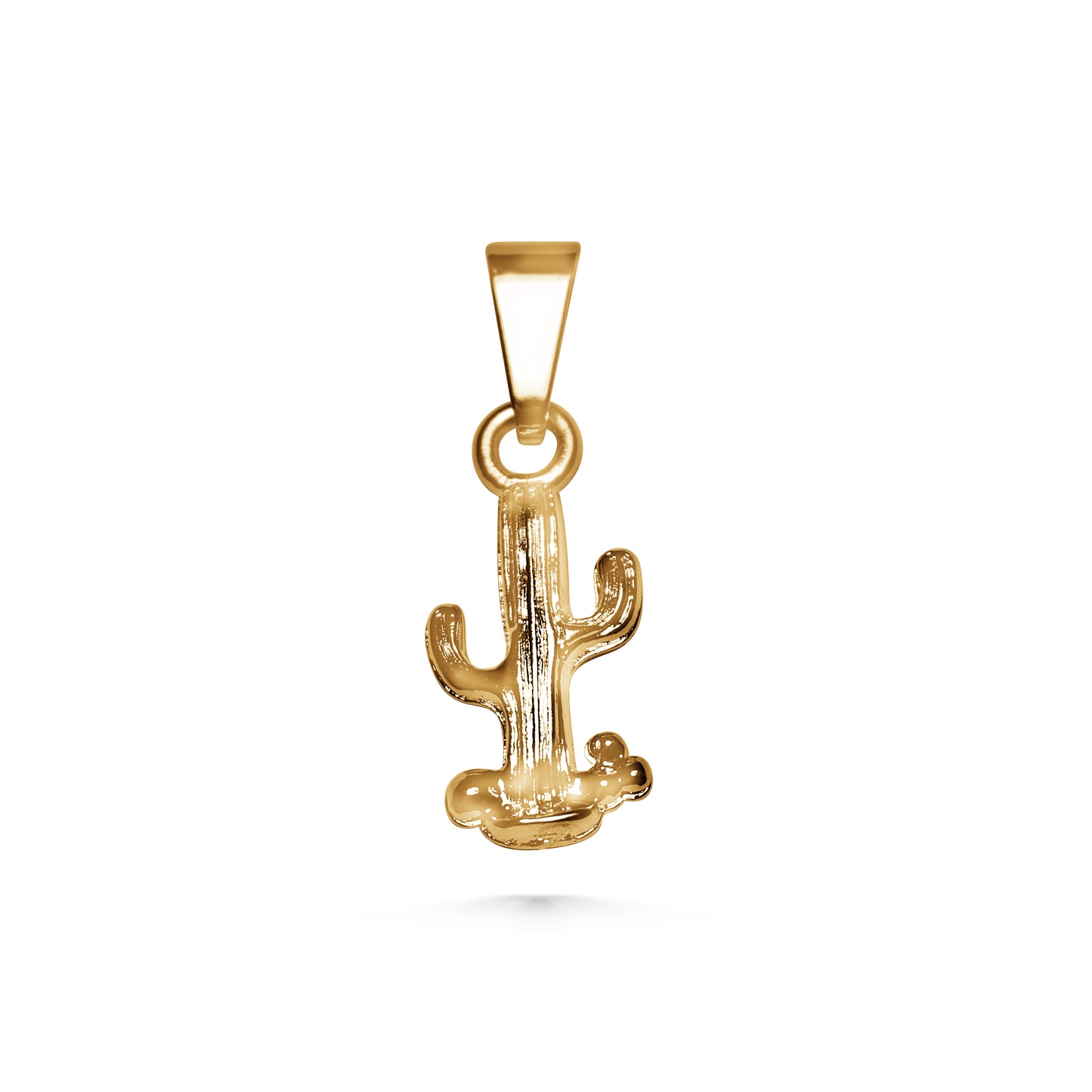 Cactus Charm