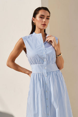 Pricilla Striped Button Down Dress