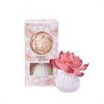 Sweet Grace Flower Diffusers