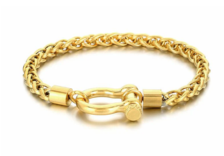 Horse Bit Carabiner Bracelet- Steel - Charm Bracelet 14K PVD