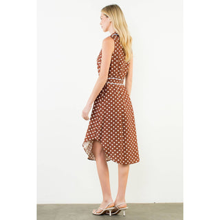 Everyday Polka Dress
