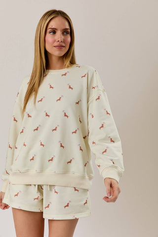 USA Dog Sweatshirt