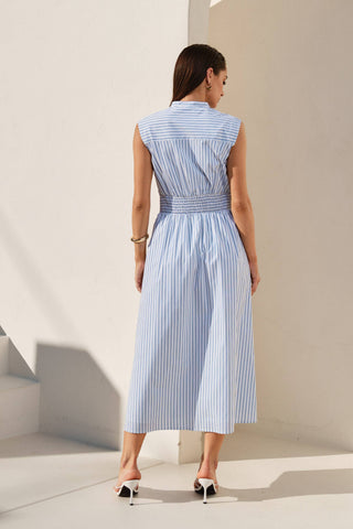 Pricilla Striped Button Down Dress