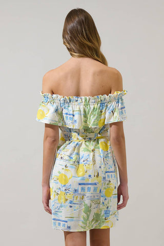 Amalfi Coast Ruffle Mini Dress