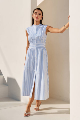Pricilla Striped Button Down Dress