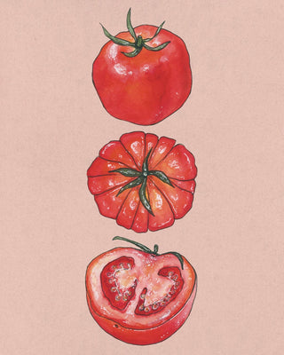 Tomato Art Print