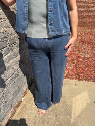 Griffin Denim Dress Pant