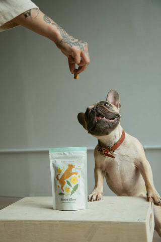 Inner Glow Cookies - All Natural, Organic Dog Treats
