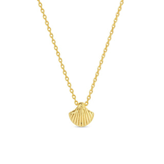 Sweetest Shell Necklace