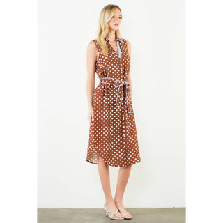 Everyday Polka Dress