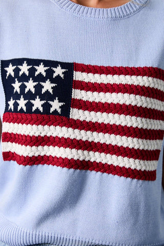 Blue Flag Sweater Top