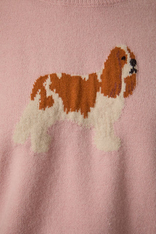 King Charles Spaniel Dog Sweater