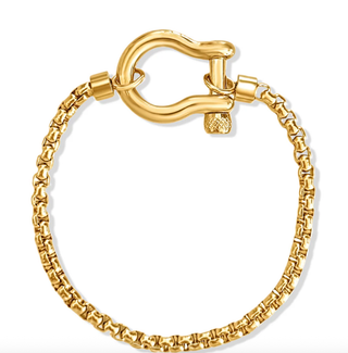 Horse Bit Carabiner Bracelet- Steel - Charm Bracelet 14K PVD