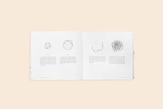 How to Draw Modern Florals (Valentines, Galentines)