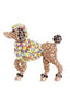 POODLE