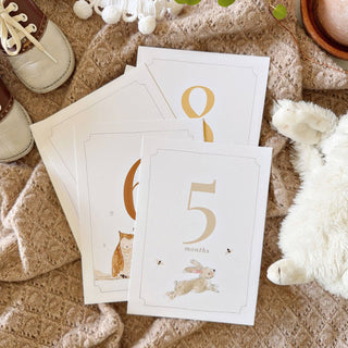 Baby milestone cards