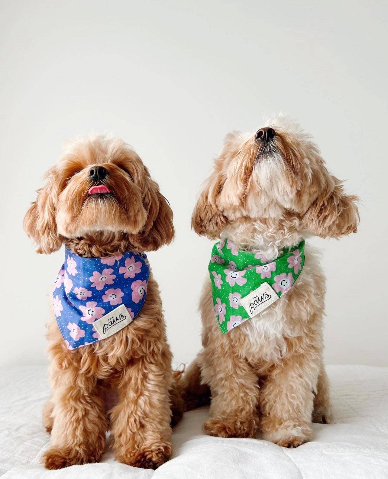 Stardust Dog Bandana